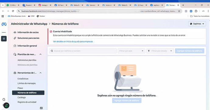 Captura de pantalla 2025-12-11 174558
